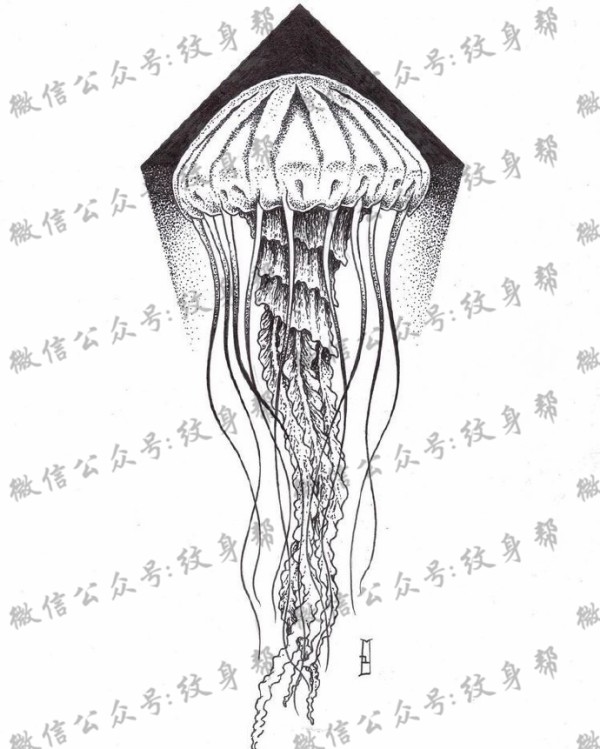 水母纹身手稿_一组47张优秀纹身水母手稿图案素材