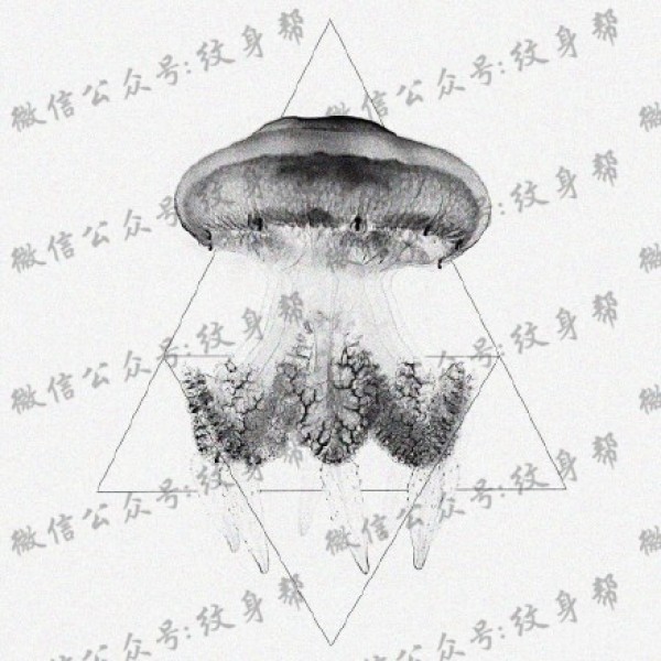 水母纹身手稿_一组47张优秀纹身水母手稿图案素材