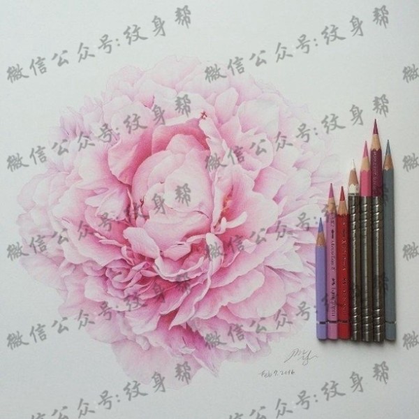 手稿清新的牡丹纹身图片