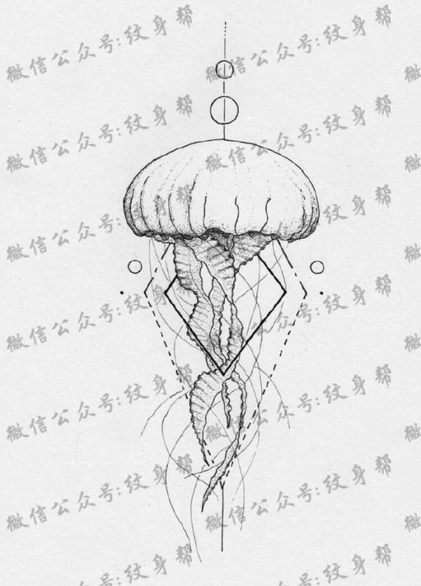 水母纹身手稿_一组47张优秀纹身水母手稿图案素材