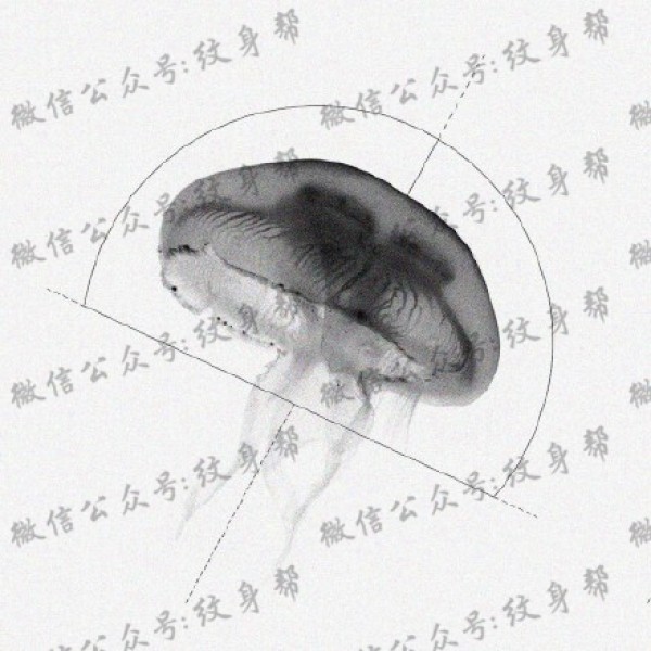 水母纹身手稿_一组47张优秀纹身水母手稿图案素材