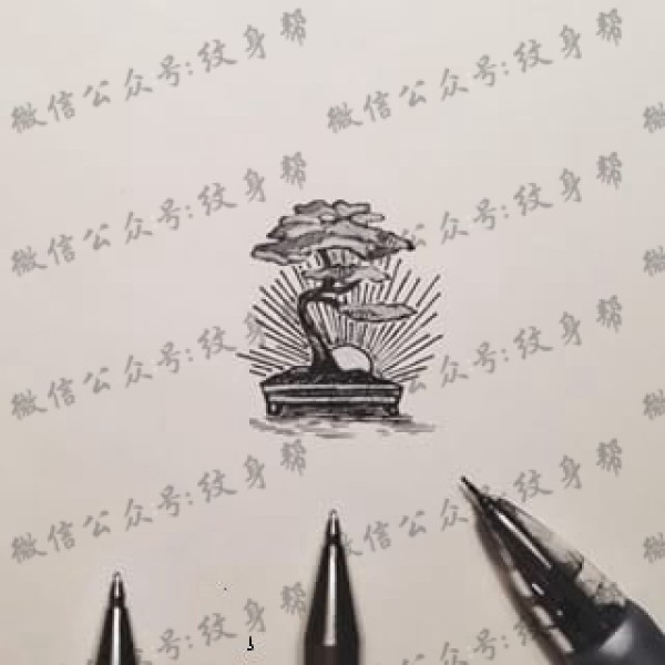 手稿松塔纹身图片