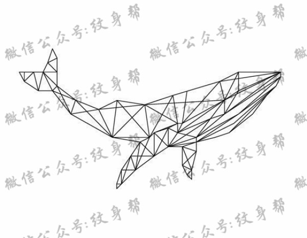 鲸鱼手稿_一套39张精美鲸鱼纹身手稿图案素材