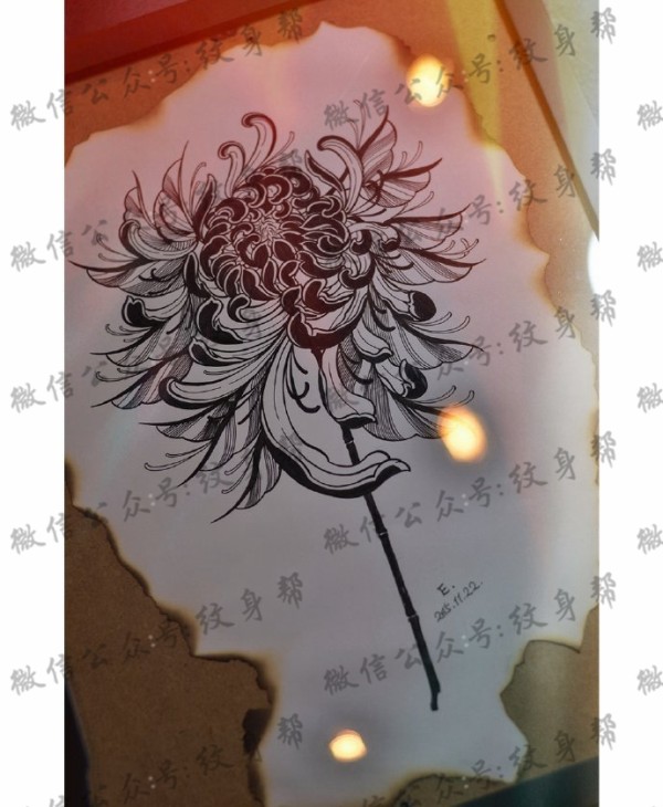 手稿黑菊花纹身图片