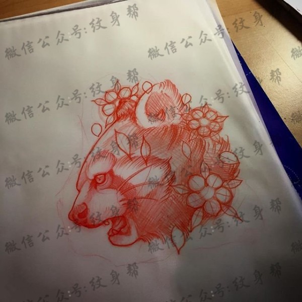 手稿素描浣熊纹身图片