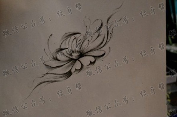 素描莲花纹身手稿图案