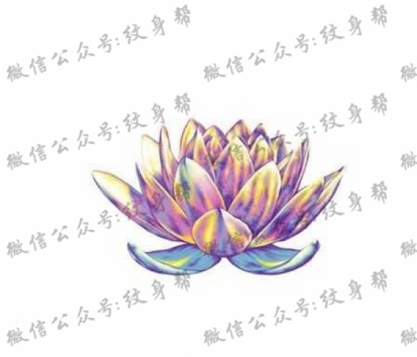 手稿漂亮的莲花纹身图片