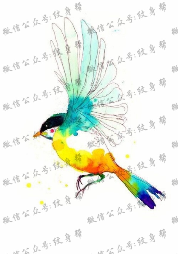 小鸟纹身手稿_10张漂亮的水彩纹身小鸟手稿图案