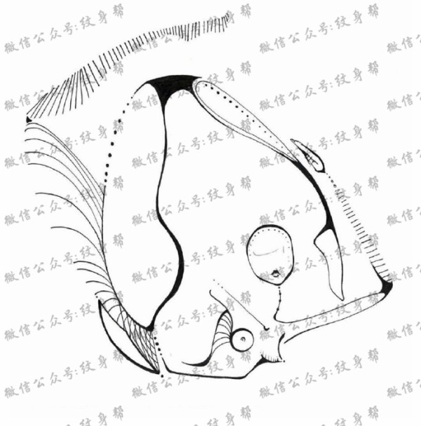 抽象女人手稿_一组17张抽象女性身体纹身艺术手稿图案