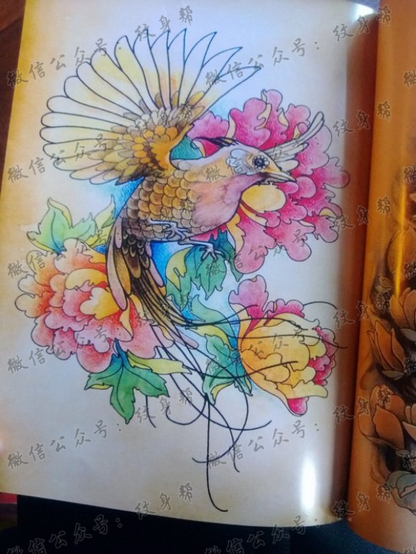 蜂鸟纹身图片