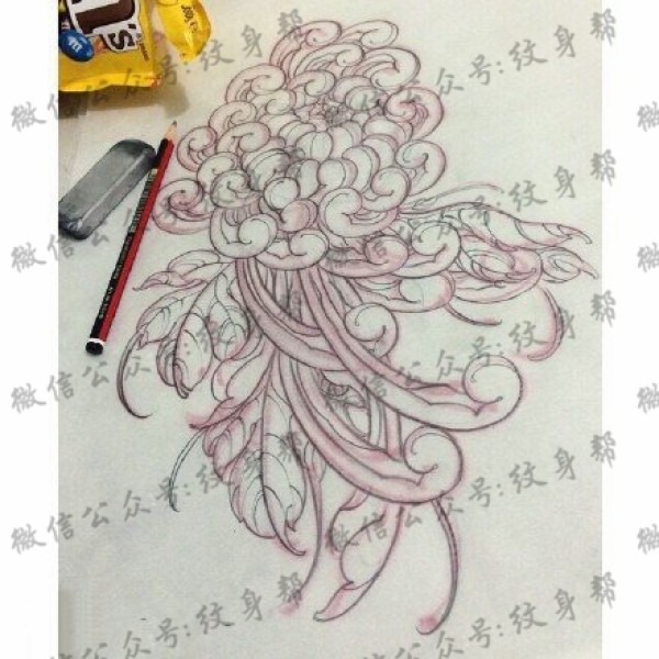 手稿素描菊花纹身图片