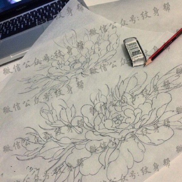 手稿素描菊花纹身图片