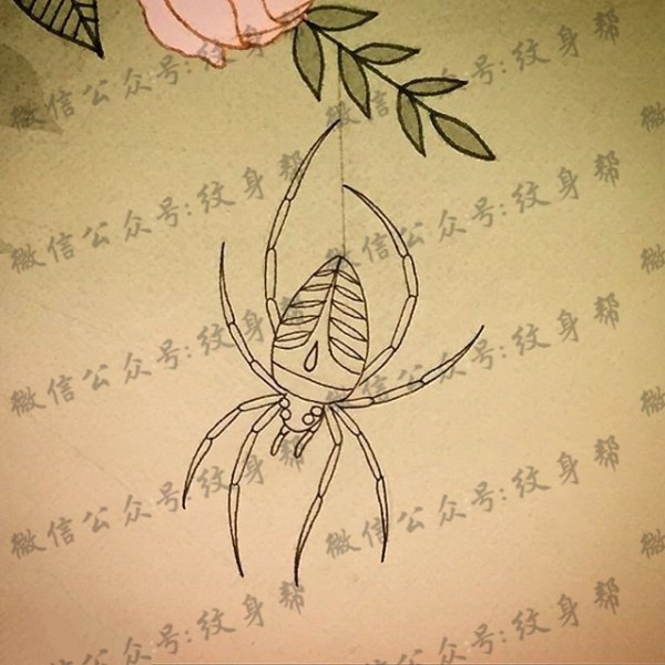 手稿蜘蛛纹身图片