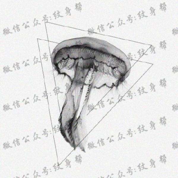 水母纹身手稿_一组47张优秀纹身水母手稿图案素材