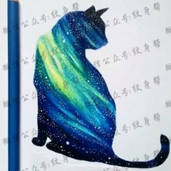 手稿星空猫纹身图片