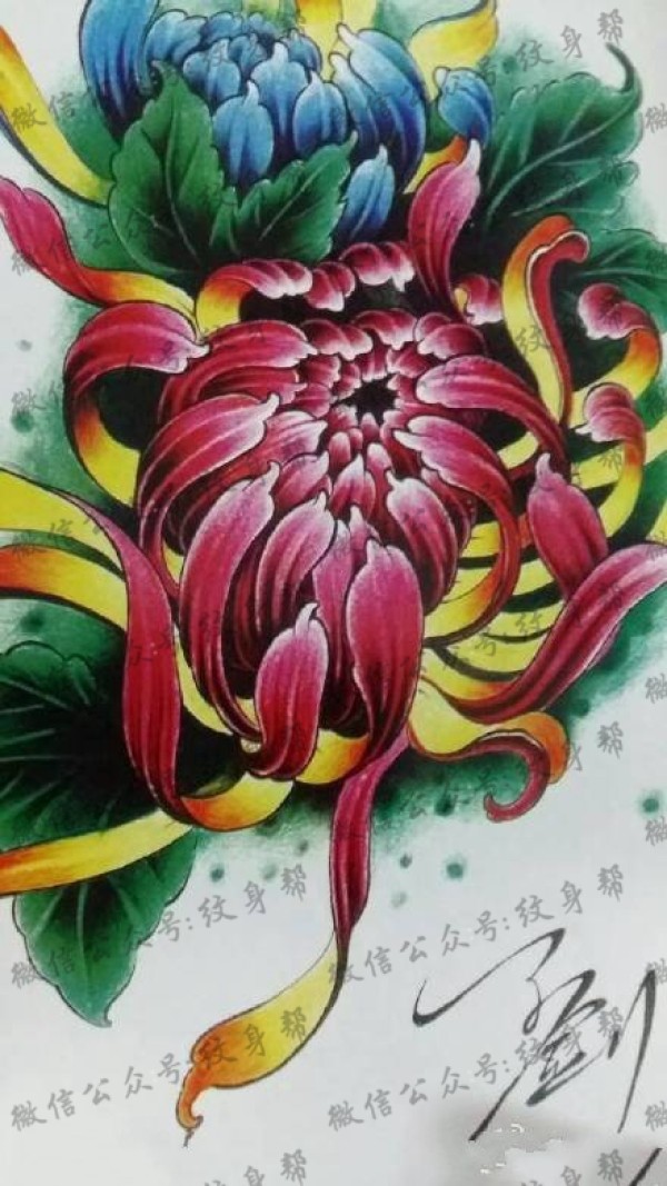 手稿大菊花纹身图片