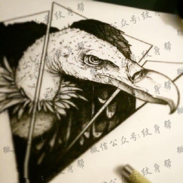 手稿素描鸟兽纹身图片