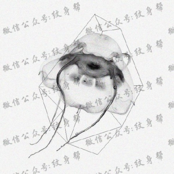 水母纹身手稿_一组47张优秀纹身水母手稿图案素材