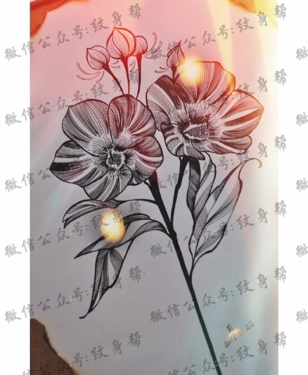 手稿经典花卉纹身图片
