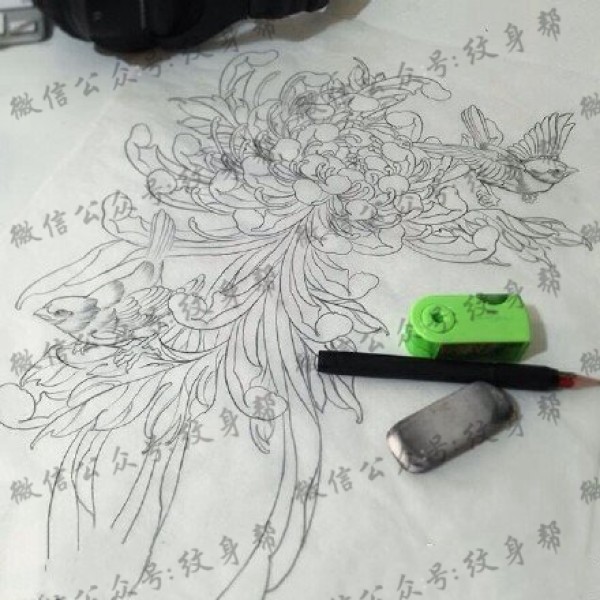 素描的大菊花纹身图片