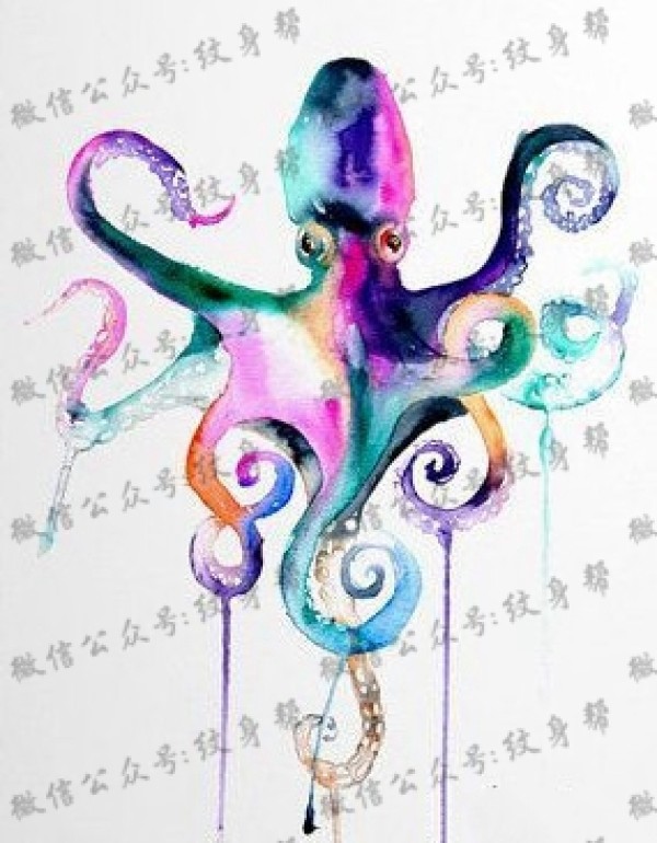 章鱼纹身手稿_21张纹身章鱼手稿图案素材