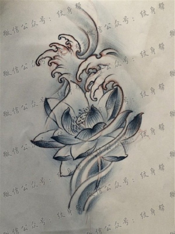 素描莲花纹身手稿