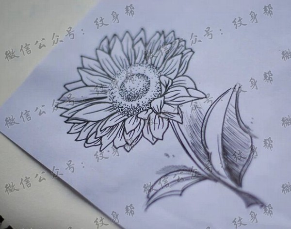 灰黑向日葵纹身手稿图案
