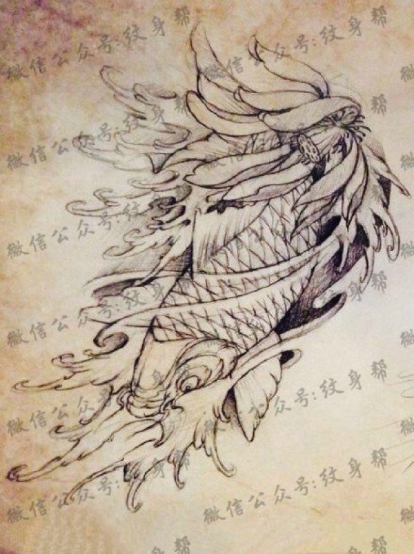 经典素描鲤鱼莲花纹身图片