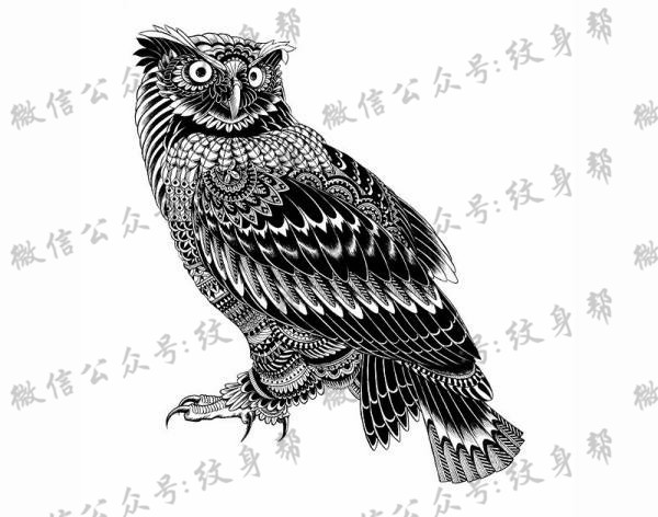 动物黑白插画_27张黑白动物插画纹身手稿图案