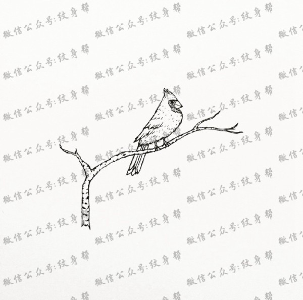 创意黑白纹身手稿_一组18张个性创意黑白纹身手稿图案