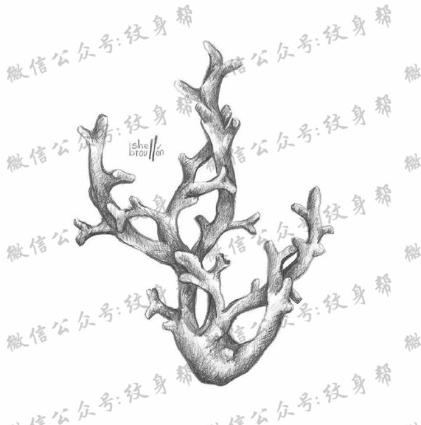 动物黑白插画_27张黑白动物插画纹身手稿图案