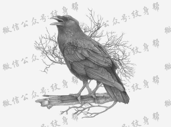 动物黑白插画_27张黑白动物插画纹身手稿图案