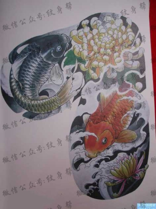 手稿半甲鲤鱼菊花纹身图片