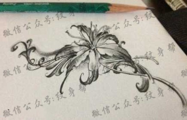 手稿曼珠沙华纹身图片