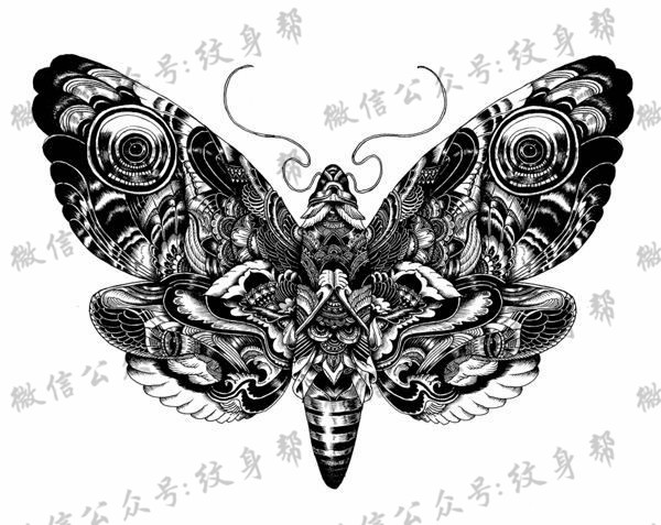 动物黑白插画_27张黑白动物插画纹身手稿图案