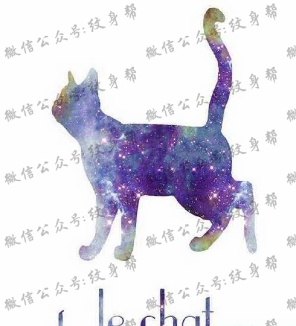 手稿星空猫咪纹身图片