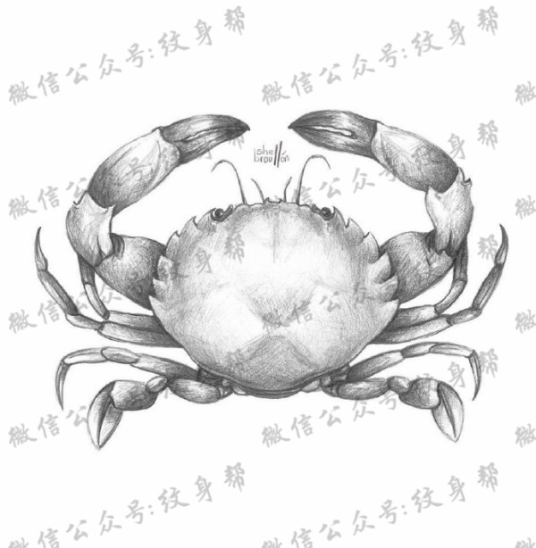 动物黑白插画_27张黑白动物插画纹身手稿图案