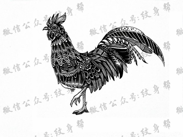 动物黑白插画_27张黑白动物插画纹身手稿图案