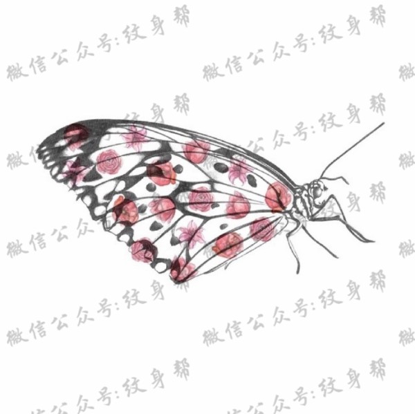 动物黑白插画_27张黑白动物插画纹身手稿图案