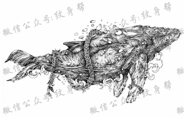 黑白色插画_一组9张黑白色好看的插画纹身手稿图案图片