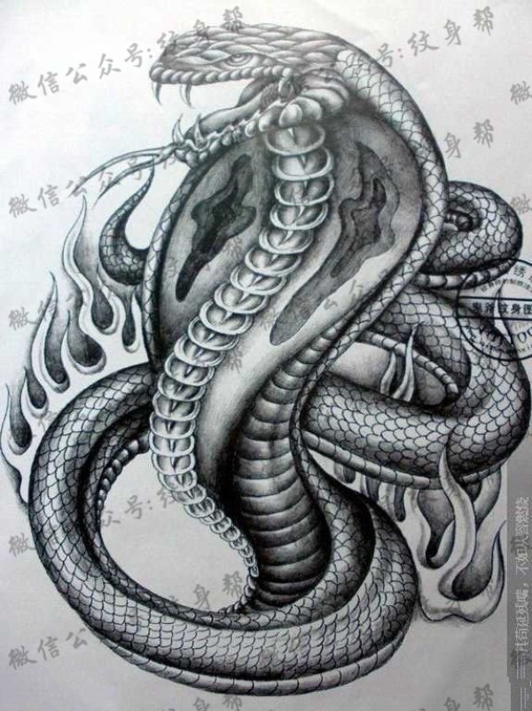 手稿黑灰蛇纹身图片
