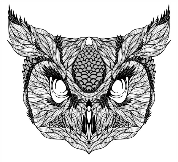38组猫头鹰主题的纹身手稿素材图片