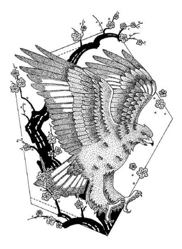 33款创意的插画黑图纹身手稿图片