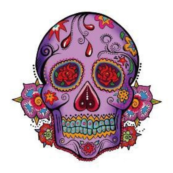 27款小清新的彩色花骷髅纹身手稿素材