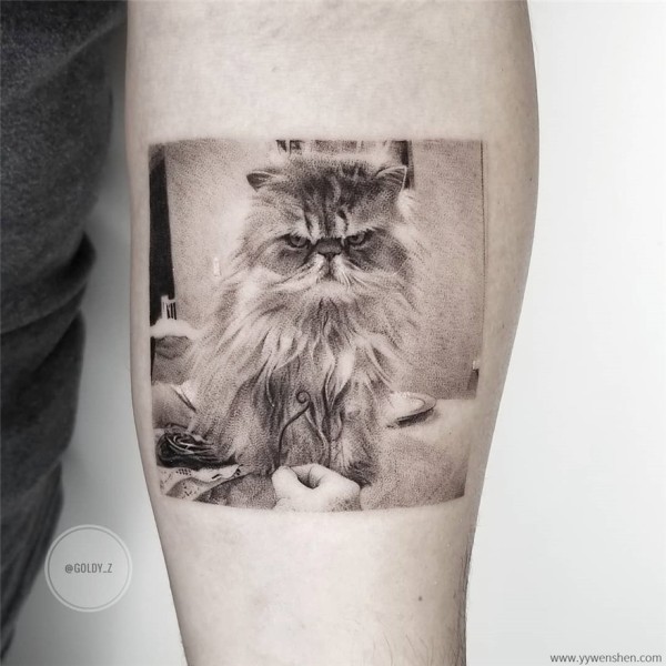 使用单针扎的细腻质感十足宠物猫狗纹身图片集